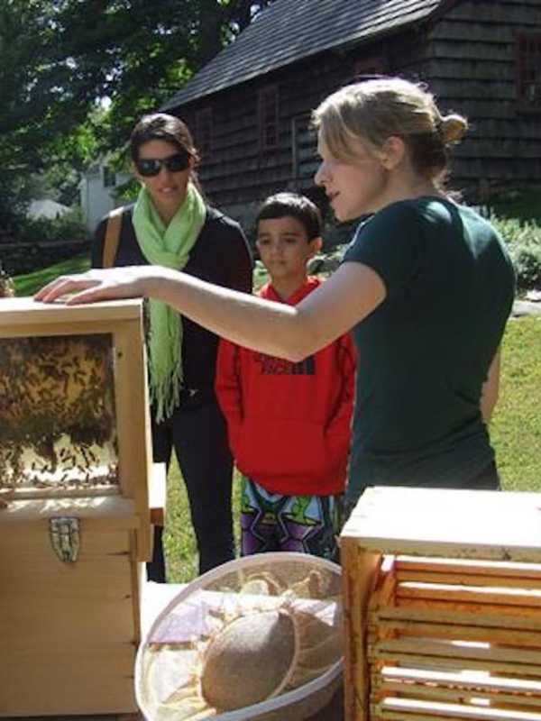 Buzz On Over To Ogden House In Fairfield For A Sweet Treat