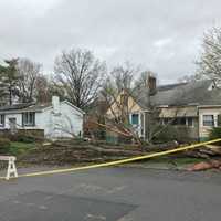 <p>Downed trees and power lines caused large power outages.</p>