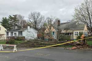 Strong Storms Bring Down Trees, Utility Lines, Knocking Out Power In Area