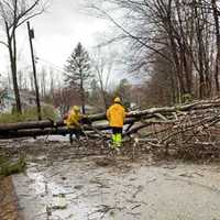 <p>Workers from across the region worked to restore power and remove downed trees and poles.</p>