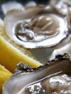Port Chester's Saltaire Oyster Bar Offers Prix-Fixe Lunch Menu