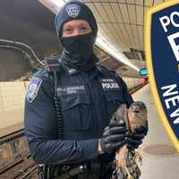 <p>Port Authority Police Officer Jordan Gonzalez</p>