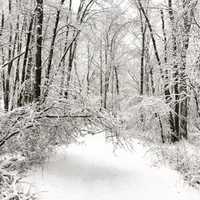 Updated List: Westchester Shelters, Warming, Charging Centers