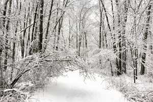 Updated List: Westchester Shelters, Warming, Charging Centers
