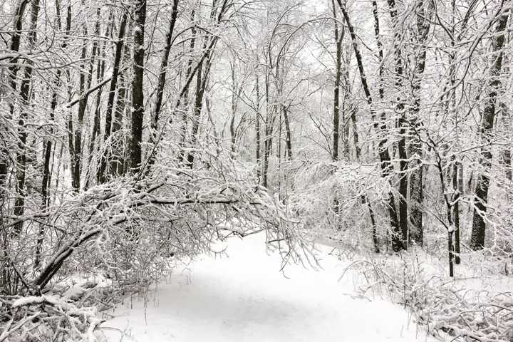 Updated List: Westchester Shelters, Warming, Charging Centers