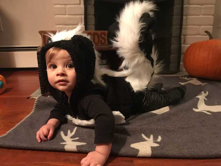 Little Stinker in a homemade skunk costume.