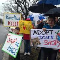 <p>&quot;Adopt Don&#x27;t Shop&quot; reads a sign held by a young protestor outside of Just Pups on Route 17 in Paramus.</p>