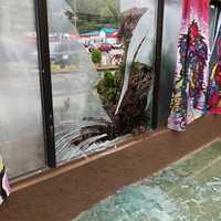 Car Slams Into Popular Dog Daycare Business In Mahopac