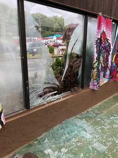 Car Slams Into Popular Dog Daycare Business In Area