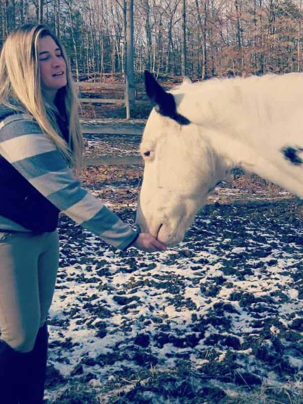 Supporters Help Bethel Woman Nurse Distressed Horse Back To Good Health