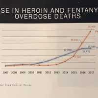 <p>Heroin, fentanyl OD deaths chart</p>