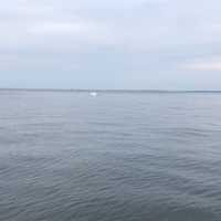 <p>Madelyn and Jim Cummings spotted a humpback whale in the water of Long Island Sound off Norwalk on Friday evening.</p>