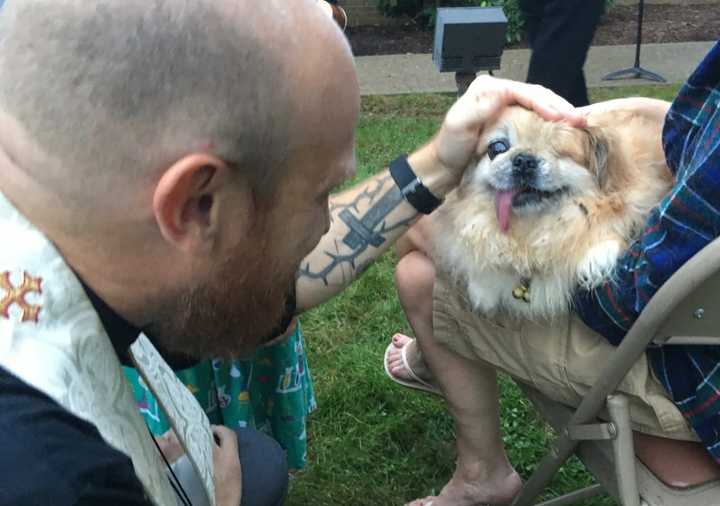 Rev. Andy Smith blesses Sushi the Pekingese, who is blind and deaf, at the Grace United Presbyterian Church&#x27;s annual &quot;Blessing of the Animals&quot; Thursday.