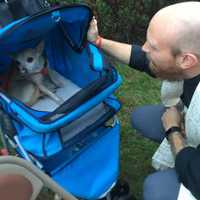 <p>Rev. Smith sings to and blesses Oscar the Chihuahua.</p>