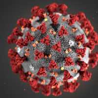 COVID-19: Surge In Summer Cases Sparks Concern