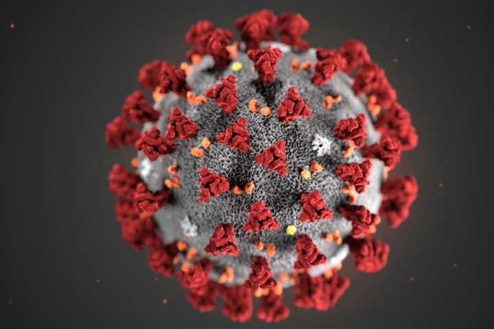 COVID-19: New 'FLiRT' Variants Now Most Dominant In US