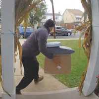Local Detectives Secretly Follow Porch Pirate On His 'Rounds,' Bust Him Selling Stolen Sneakers