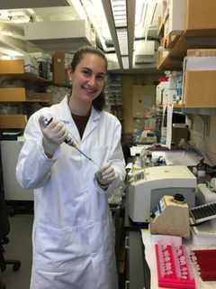 Somers Senior Named Siemens Semifinalist