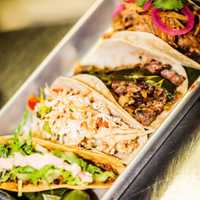 <p>Bodega offers lots of tacos for in Darien and Fairfield.</p>