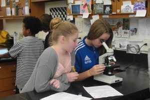 Little Ferry Schools Invite Families To Science Night