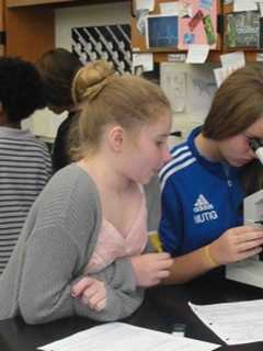 Irvington 7th-Graders Use Microscopes To Explore Tiny Worlds