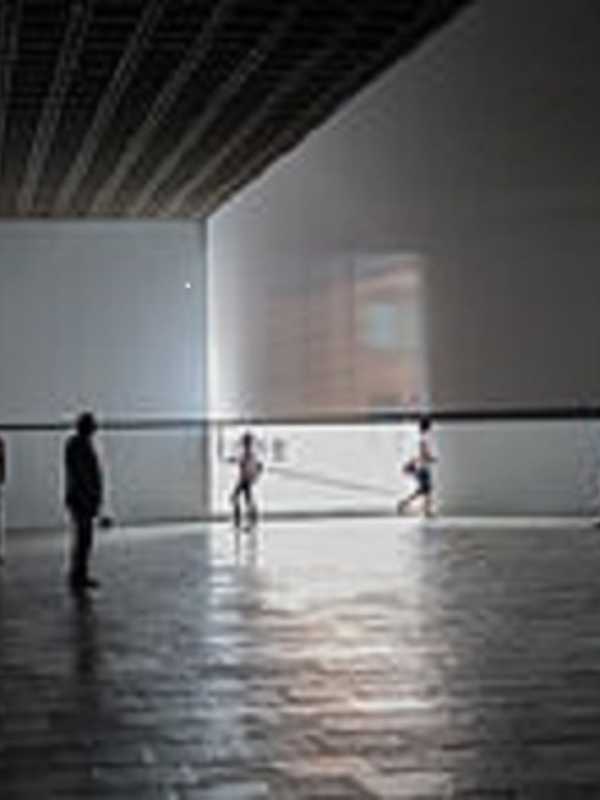 Artist Robert Irwin Sculpts Light And Space In Dia:Beacon Show