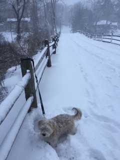 Updated: How Much Snow Did You Get? A Look At Totals From Westchester