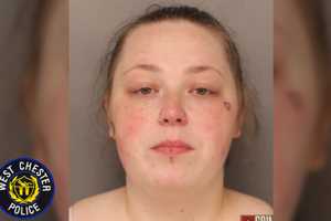 Chesco Woman Ran Over Victim With Own Car During Fight, Police Claim