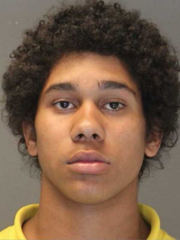 Spring Valley Teen Arraigned On Charges After Fatal Robbery