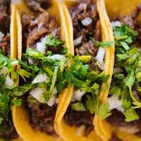 <p>Tacos</p>