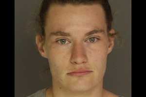 Newville Police: K9 Officer Finds Meth On DUI Shippensburg Driver