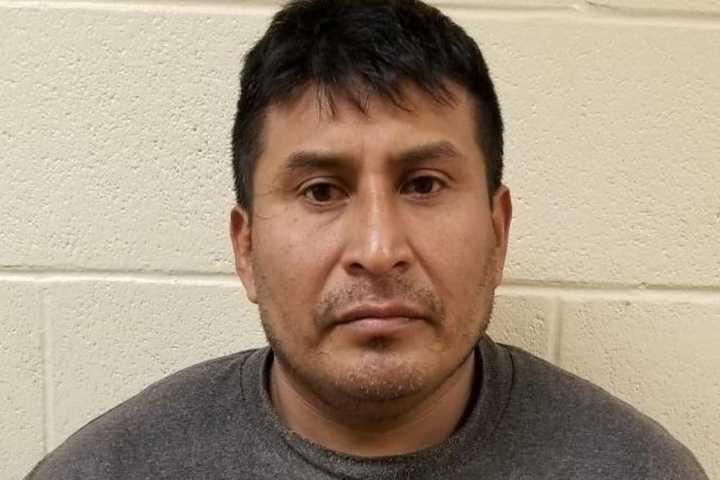 Border Patrol Agents Nab Man Convicted Of Rape On Long Island