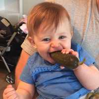 <p>Julliet Nadel fell for pickles at six months old.</p>