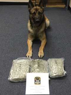 State Troopers Seize 3 Pounds Of Pot In Drug Bust In Stamford