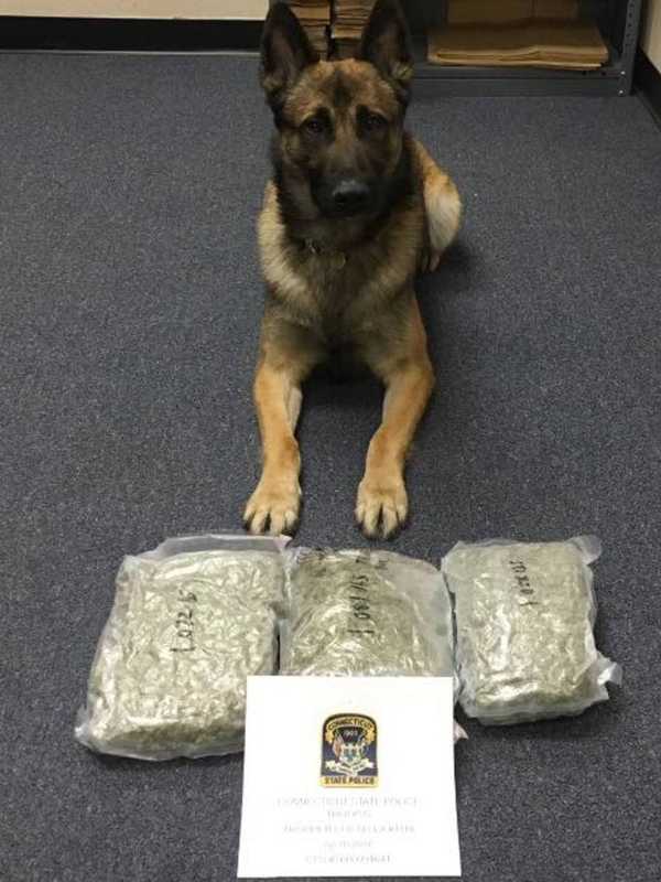 State Troopers Seize 3 Pounds Of Pot In Drug Bust In Stamford