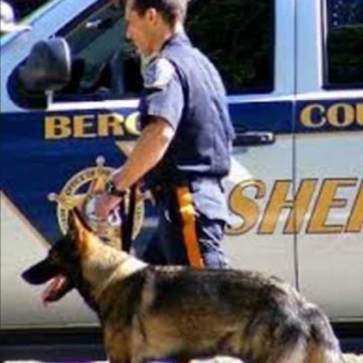 Bergen County K-9 unit