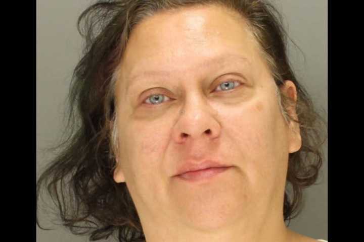 'Extremely Intoxicated' Woman Kicks Officer In Chest, Police In Lancaster County Say