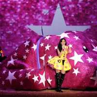 <p>Global Scenic Services Inc. in Bridgeport built a 14-foot pink dog covered in glitter, that Katy Perry could ride on in her stage entrance for the &quot;Victoria&#x27;s Secret Fashion Show.&quot;</p>