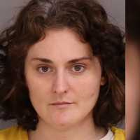 Berks Burglar Beats Victim With Hedge Clippers Then Locks Herself In Car, Say Police