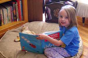 Book Sale Returns To Beekman Library Sept. 24