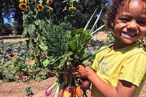 Kids Day's Coming To Stratford Farmers Market