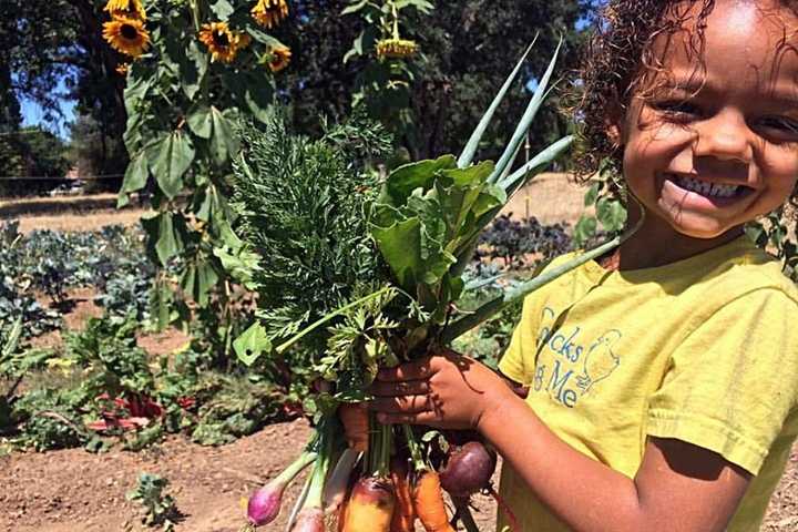 Kids Day's Coming To Stratford Farmers Market