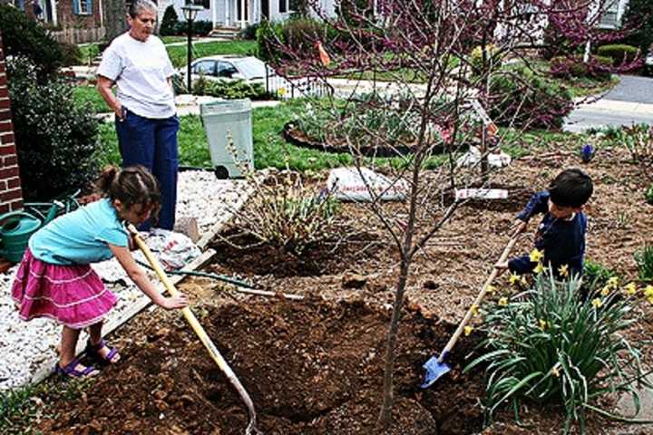 Little Ferry Schools Study Trees On Science Night