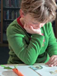 Scarsdale Library Launches Book Clubs For Third- Through Sixth-Grades 