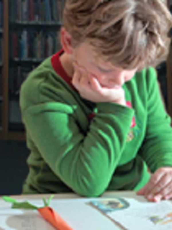 Scarsdale Library Launches Book Clubs For Third- Through Sixth-Grades 