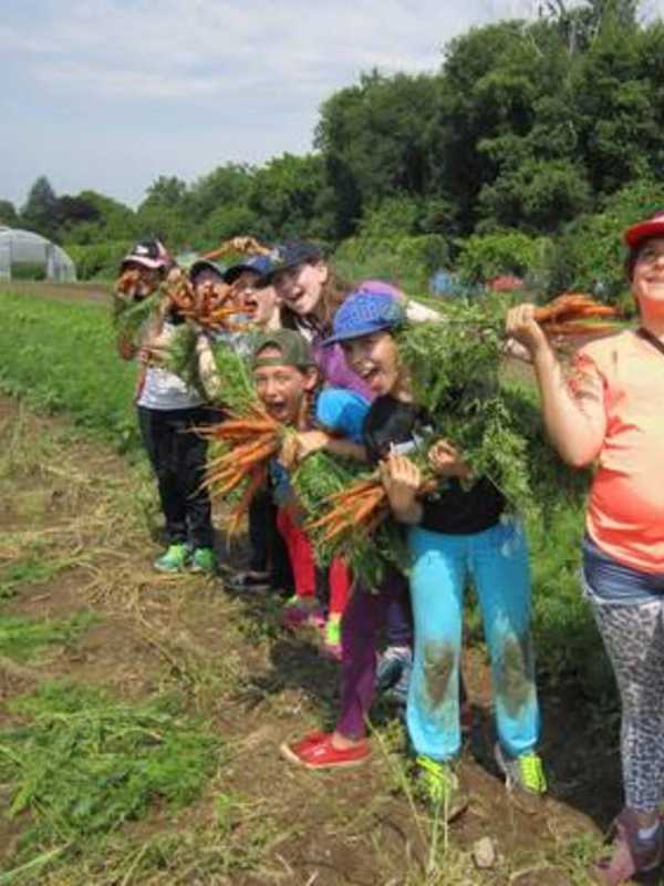 Poughkeepsie Farm Project Boasts Record Produce Harvest