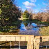 <p>Flooding at Kimmy's Safe Haven Rescue in Egg Harbor City, NJ.
  
</p>