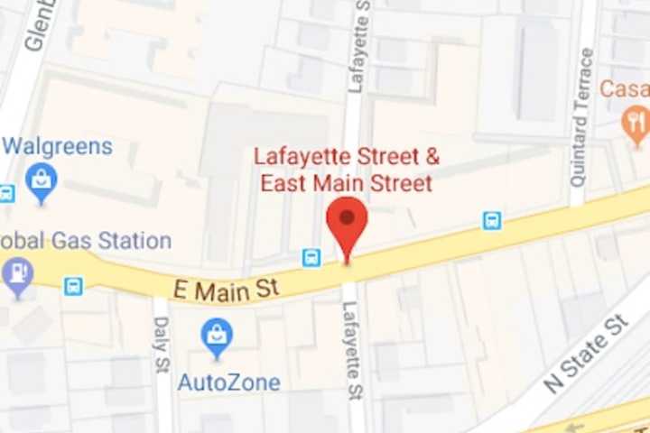 Man Walking Dog Hit By Car In Stamford