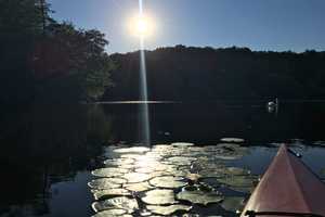 Kayaker Dies After Overturning In CT Lake