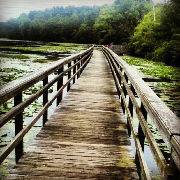 Teatown Lake Reservation  is a popular spot for  Ossining residents.